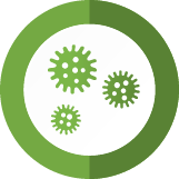 Macks Mold Inspection