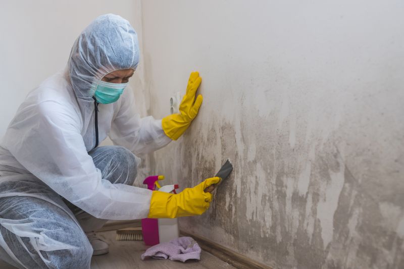 Attic Mold Remediation in Jupiter, FL