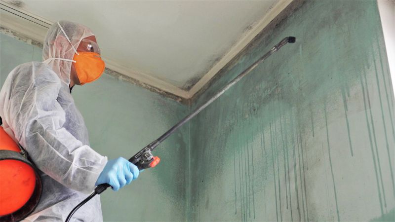 Basement Mold Remediation in Bergen County, NJ