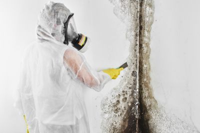 Black Mold Removal in Arlington, TX