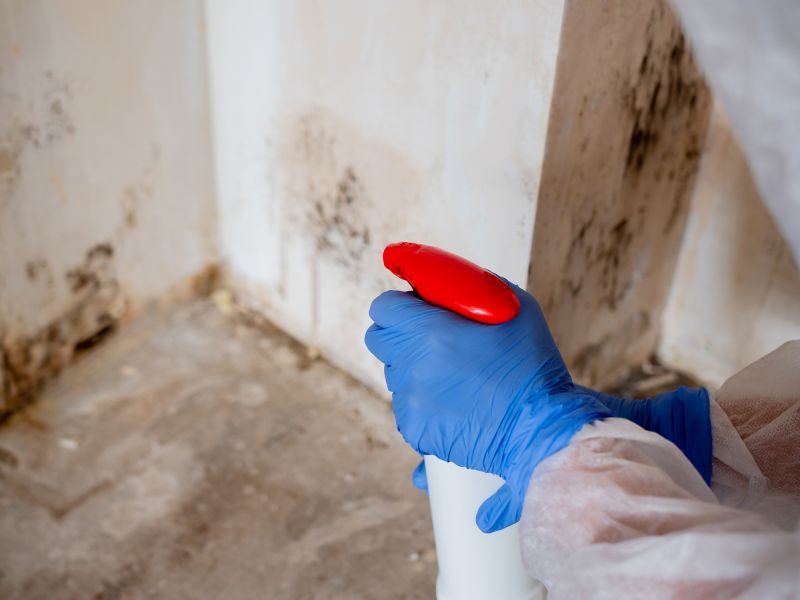 Mold Removal in Fort Worth, TX