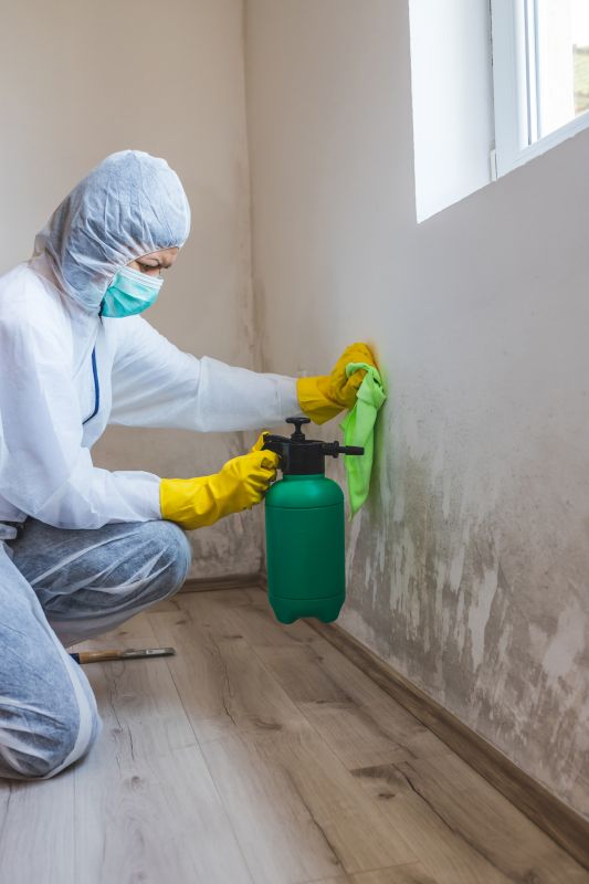 White Mold Mitigation in Broward County, FL