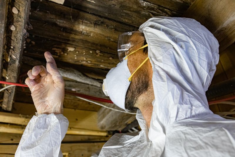 mold inspection and testing