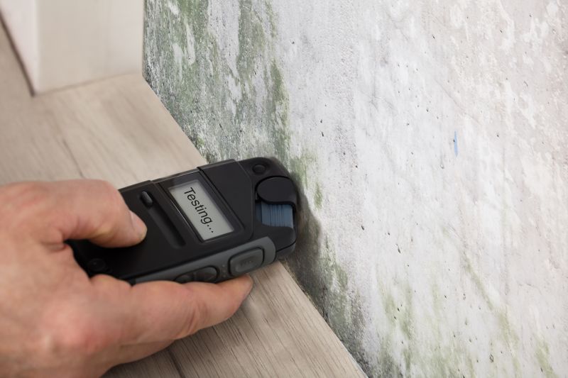 mold inspection and testing