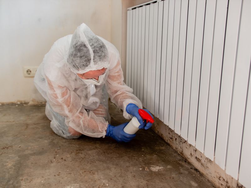 Attic Mold Removal in Bergen County, NJ