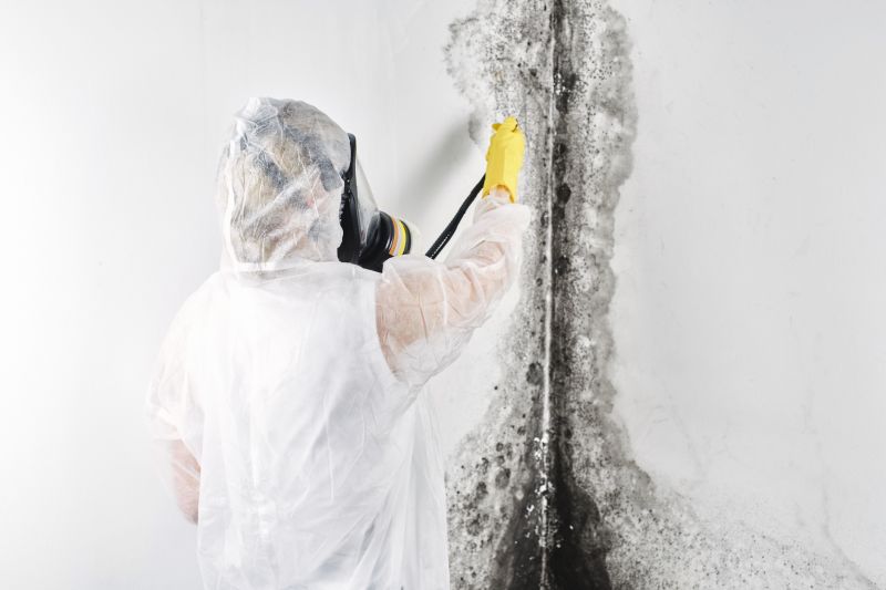 Basement Mold Remediation in Bergen County, NJ