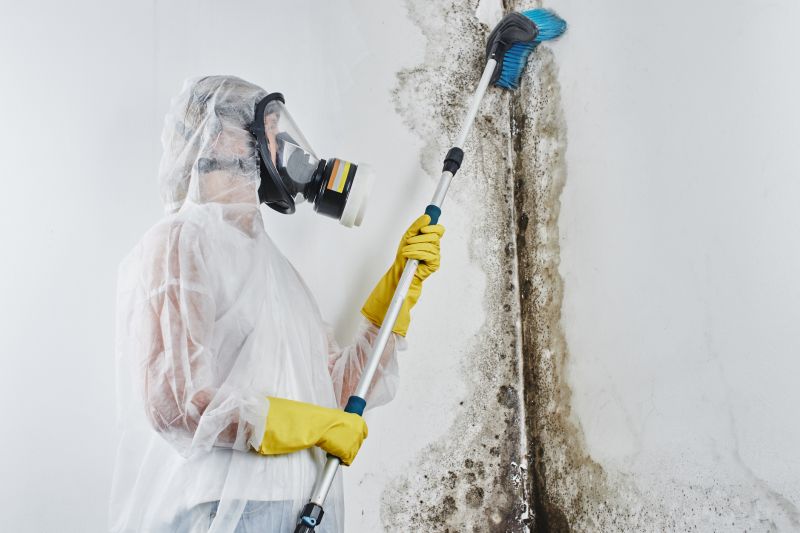 Black Mold Remediation in Dallas, TX