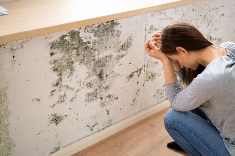 Mold Abatement in Dallas, TX