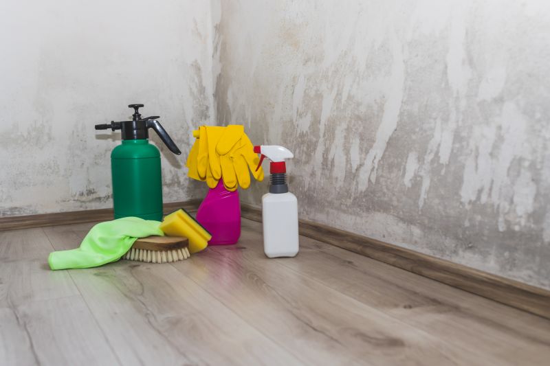 Mold Abatement Service in Dallas, TX