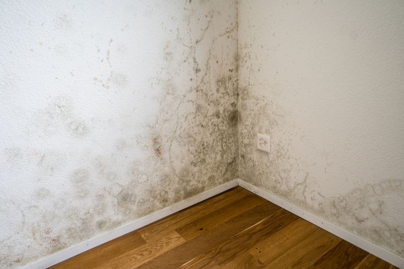 Mold Growth in Hidden Areas