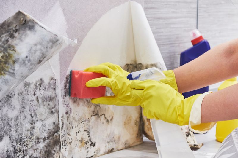 Mold Treatment Service in Dallas, TX