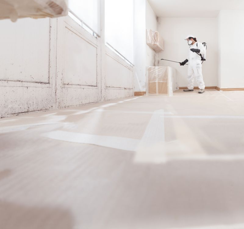 Mold Treatment Service in West Palm Beach, FL